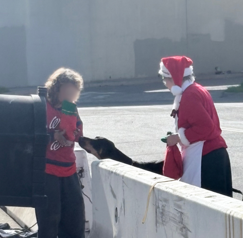 At Multi Service Center