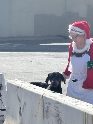 At Multi Service Center